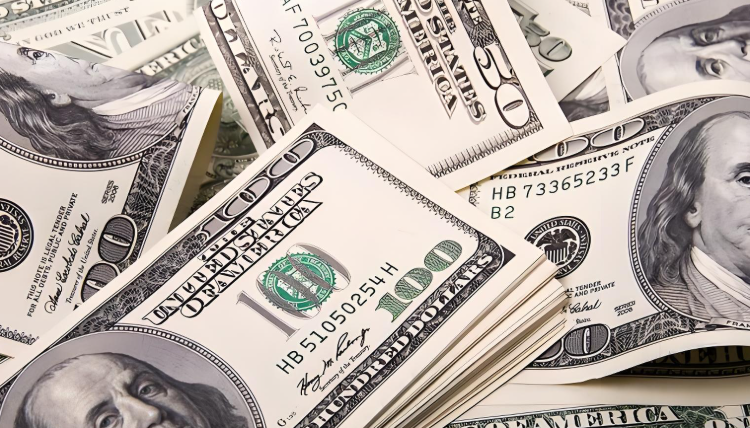 Dollar Index Rebounds and Rises